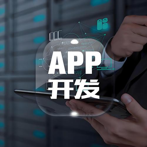 it外包 軟件開發(fā) 駐場開發(fā)